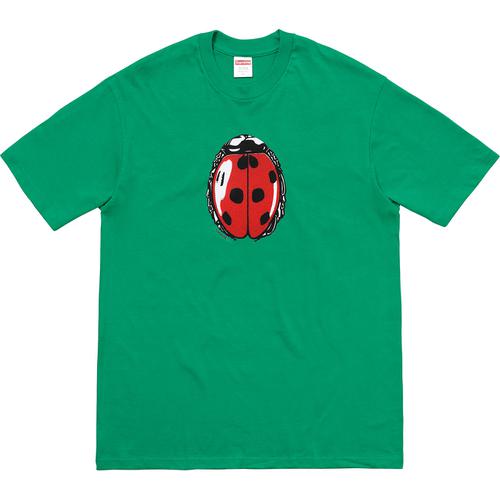Футболка Supreme Ladybug Зелено-черная весналето 18 9390₽