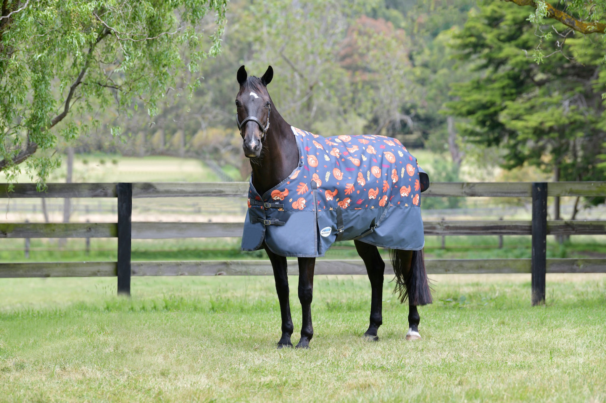 WeatherBeeta ComFiTec Essential Standard Neck Turnout Sheet (0g Lite) - Picture 17 of 17