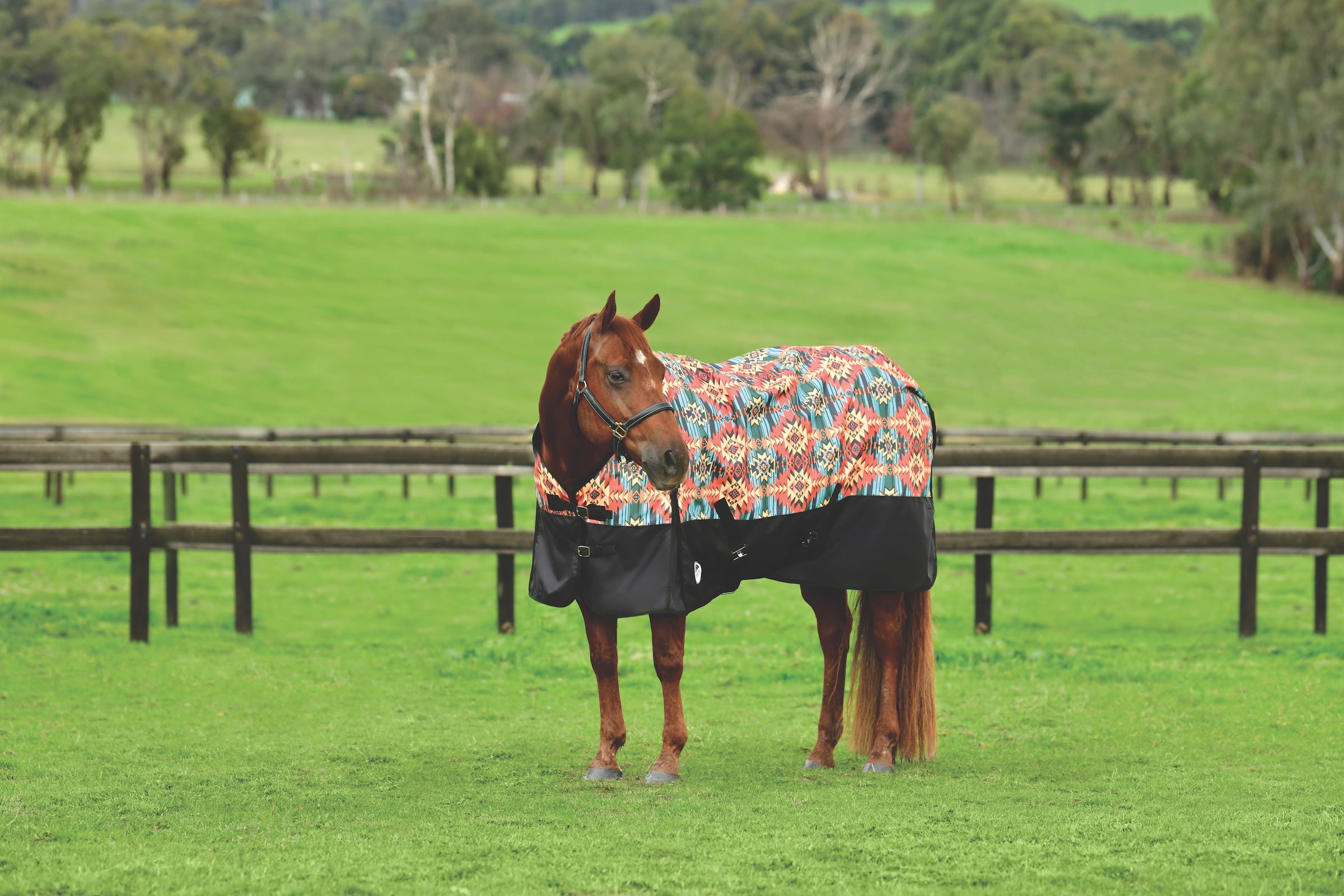 WeatherBeeta ComFiTec Essential Standard Neck Turnout Sheet (0g Lite) - Picture 13 of 17