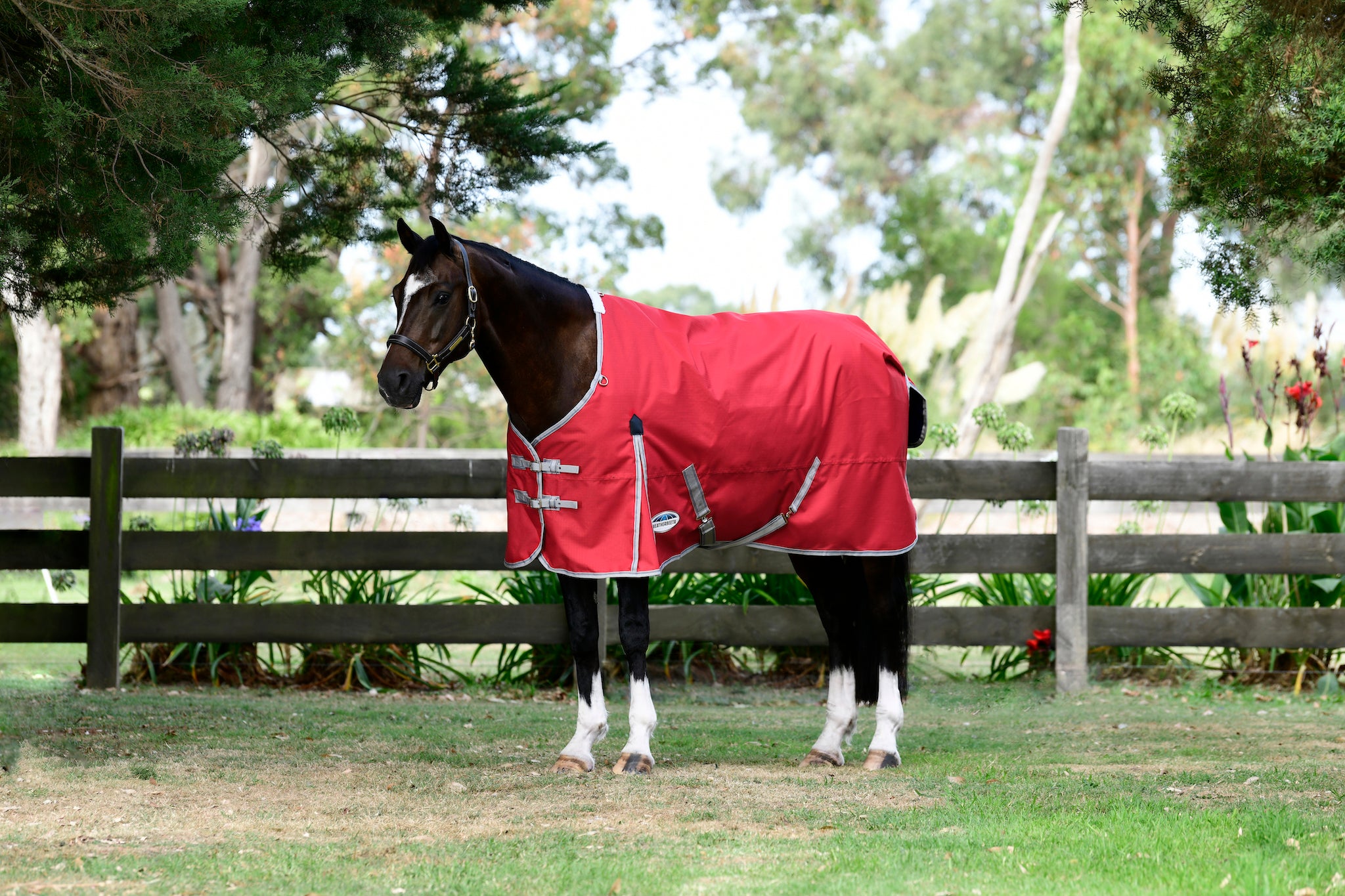 WeatherBeeta ComFiTec Classic Standard Neck Plus Turnout (50g Medium-Lite) - Picture 13 of 14