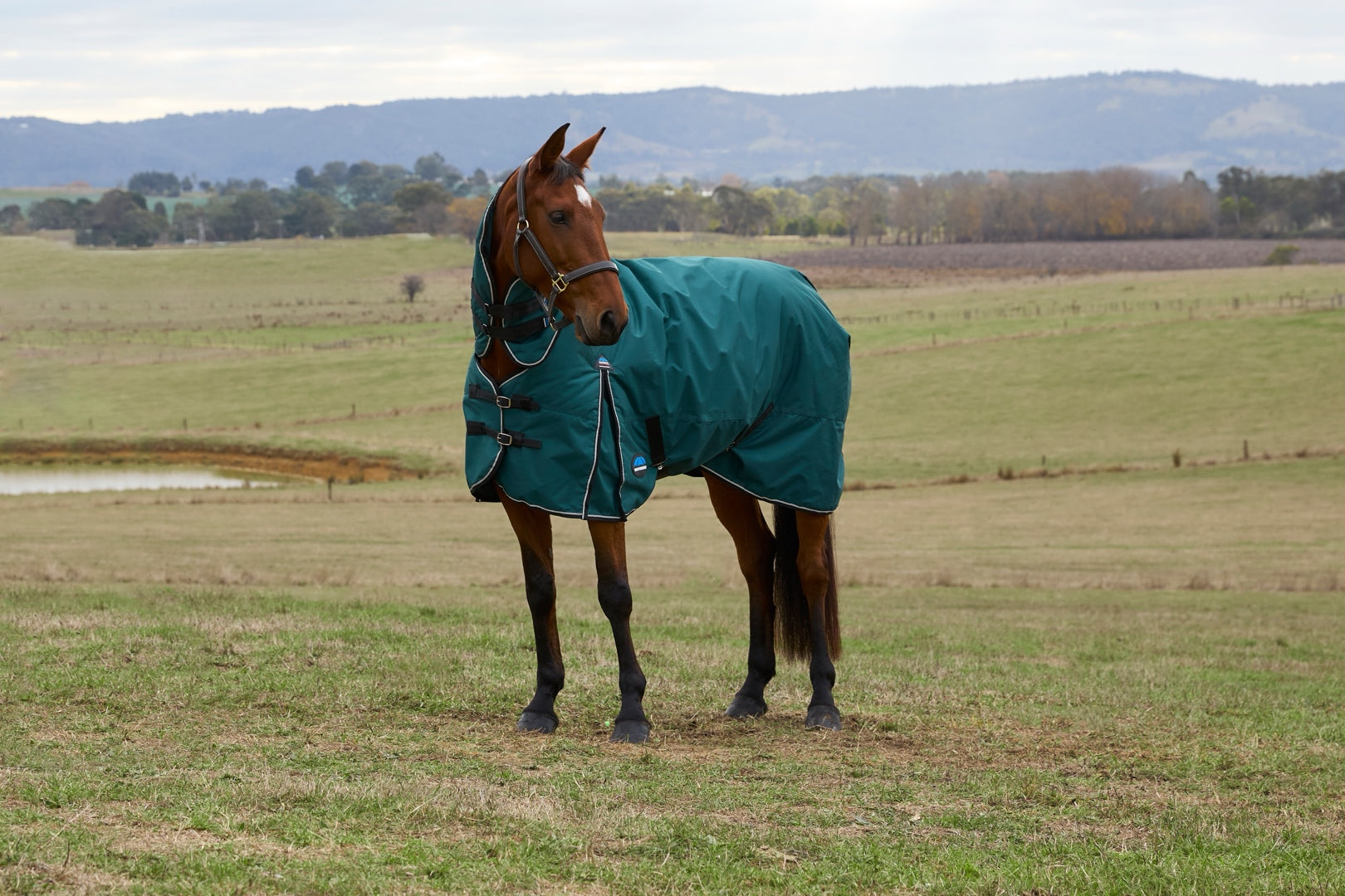 WeatherBeeta ComFiTec Classic Turnout Combo (360g Heavy) - Picture 12 of 12