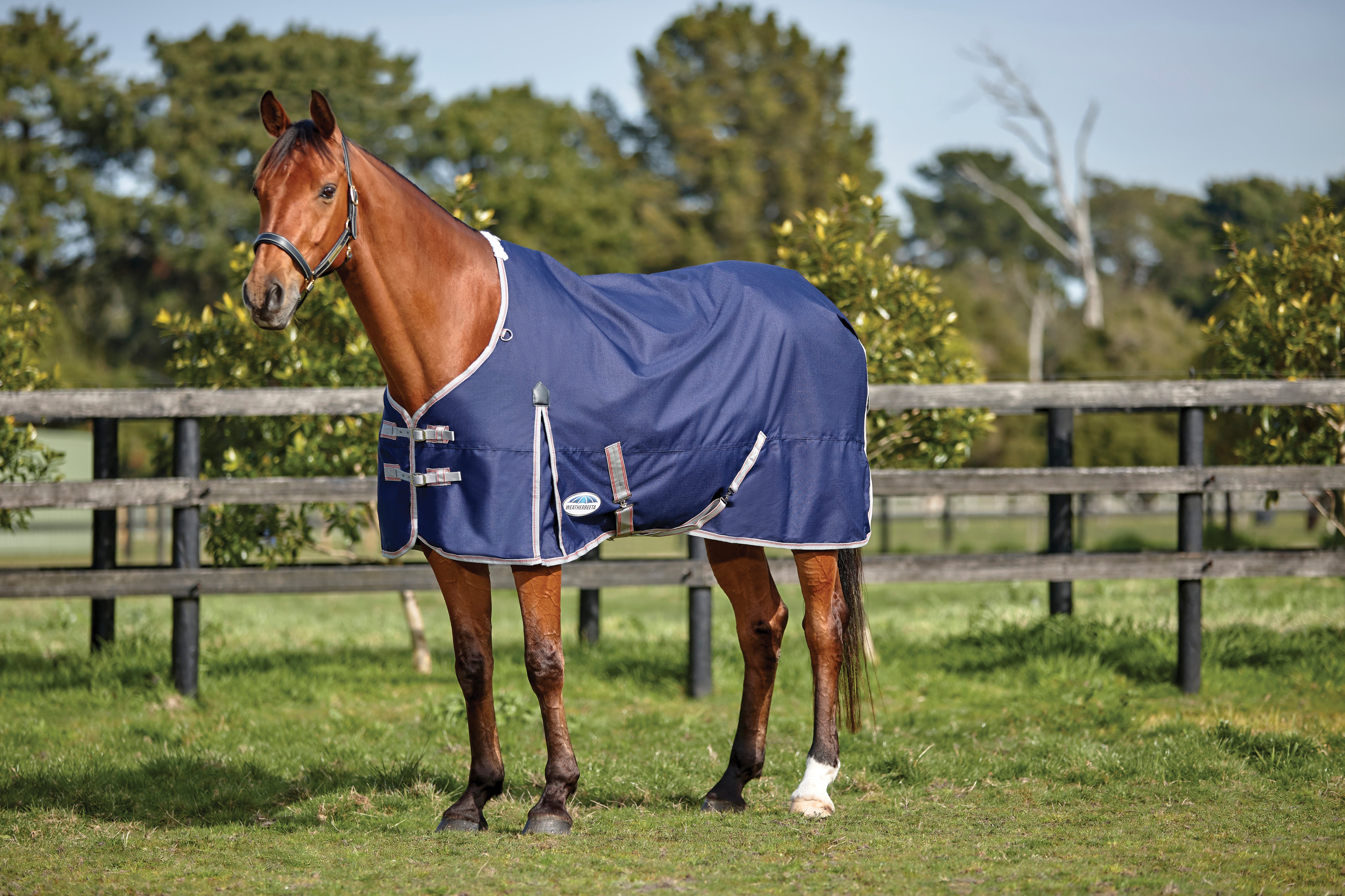 WeatherBeeta ComFiTec Essential Standard Neck Turnout Sheet (0g Lite) - Picture 15 of 17