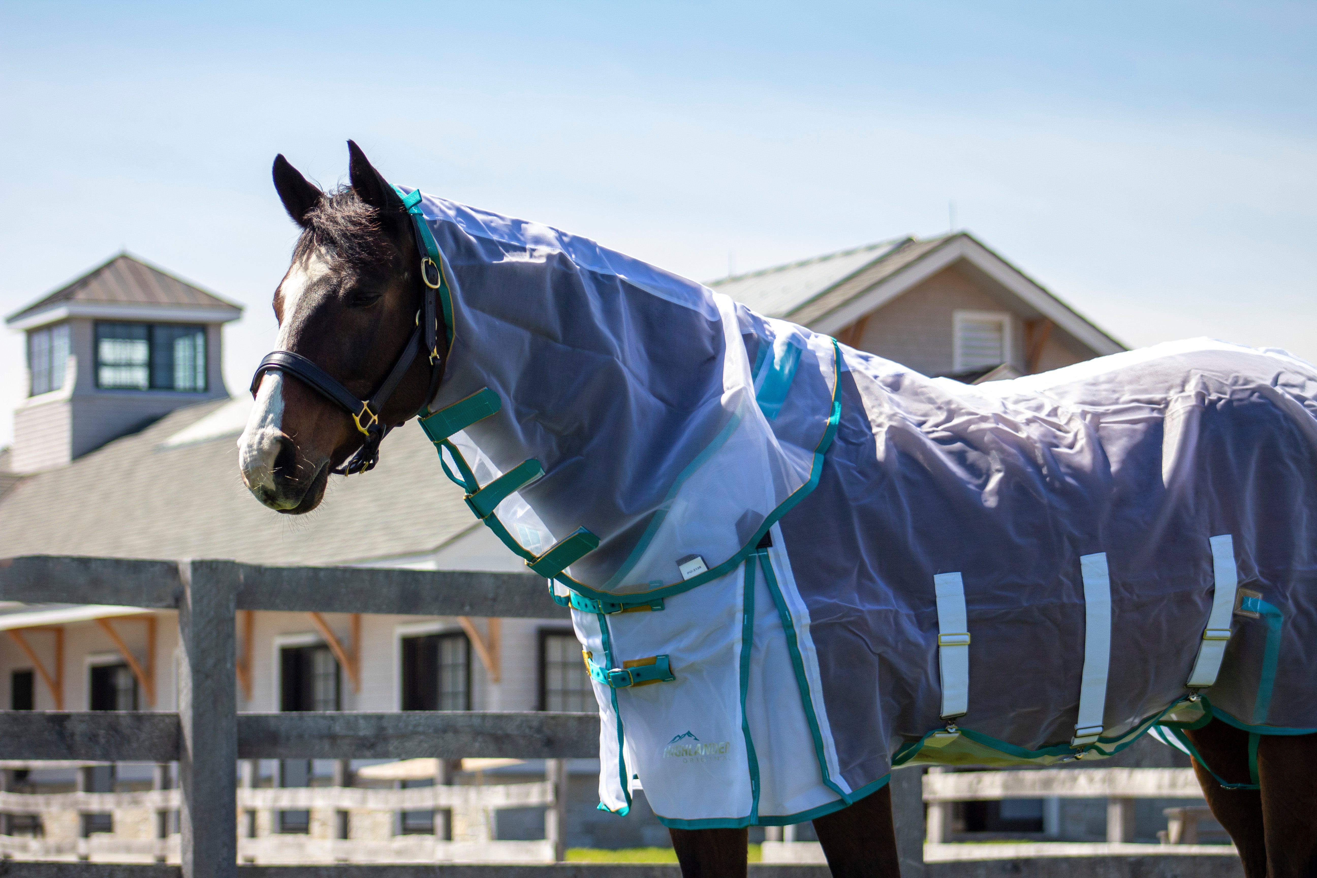 Shires Highlander Fine Mesh Fly Sheet (No Fill, Detachable Hood) - Picture 3 of 3