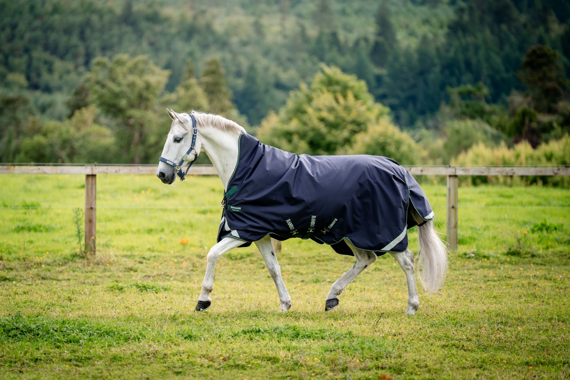 Rambo Wug Turnout Blanket (200g Medium) - Picture 9 of 10