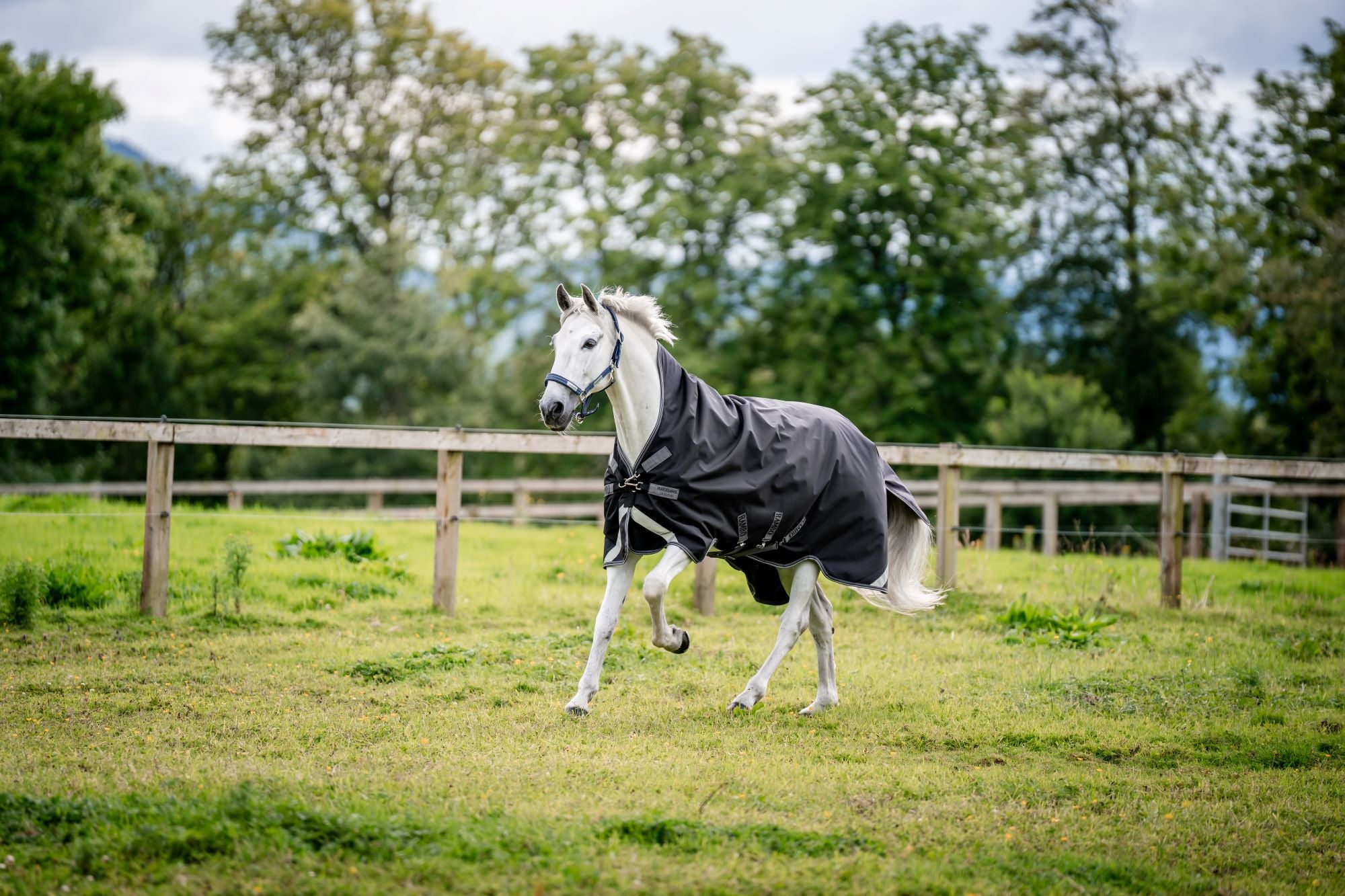 Rambo Wug Turnout Blanket (200g Medium) - Picture 10 of 10