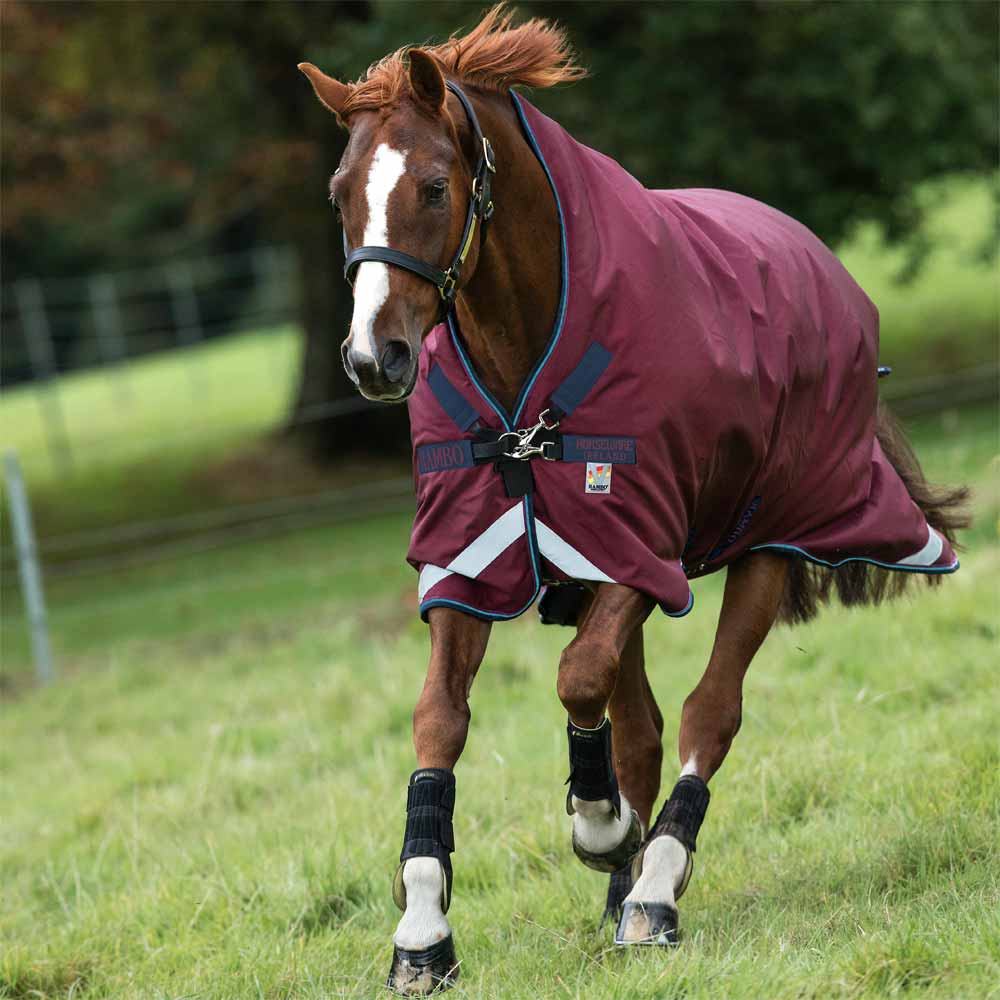 Rambo Wug Turnout Blanket (200g Medium) - Picture 8 of 10