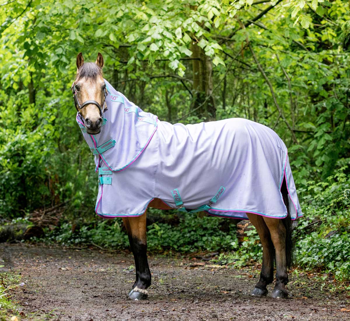 Amigo Bug Rug Pony Fly Sheet (No Fill + Hood) - CLOSEOUT - Picture 3 of 5