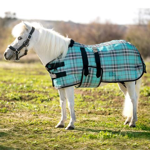 Kensington Miniature Horse Protective Fly Sheet (No Fill) - Picture 11 of 15