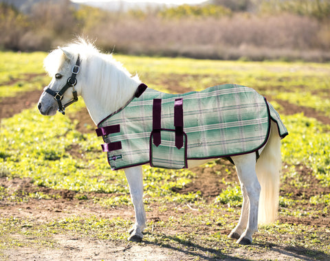 Kensington Miniature Horse Protective Fly Sheet (No Fill) - Picture 13 of 15