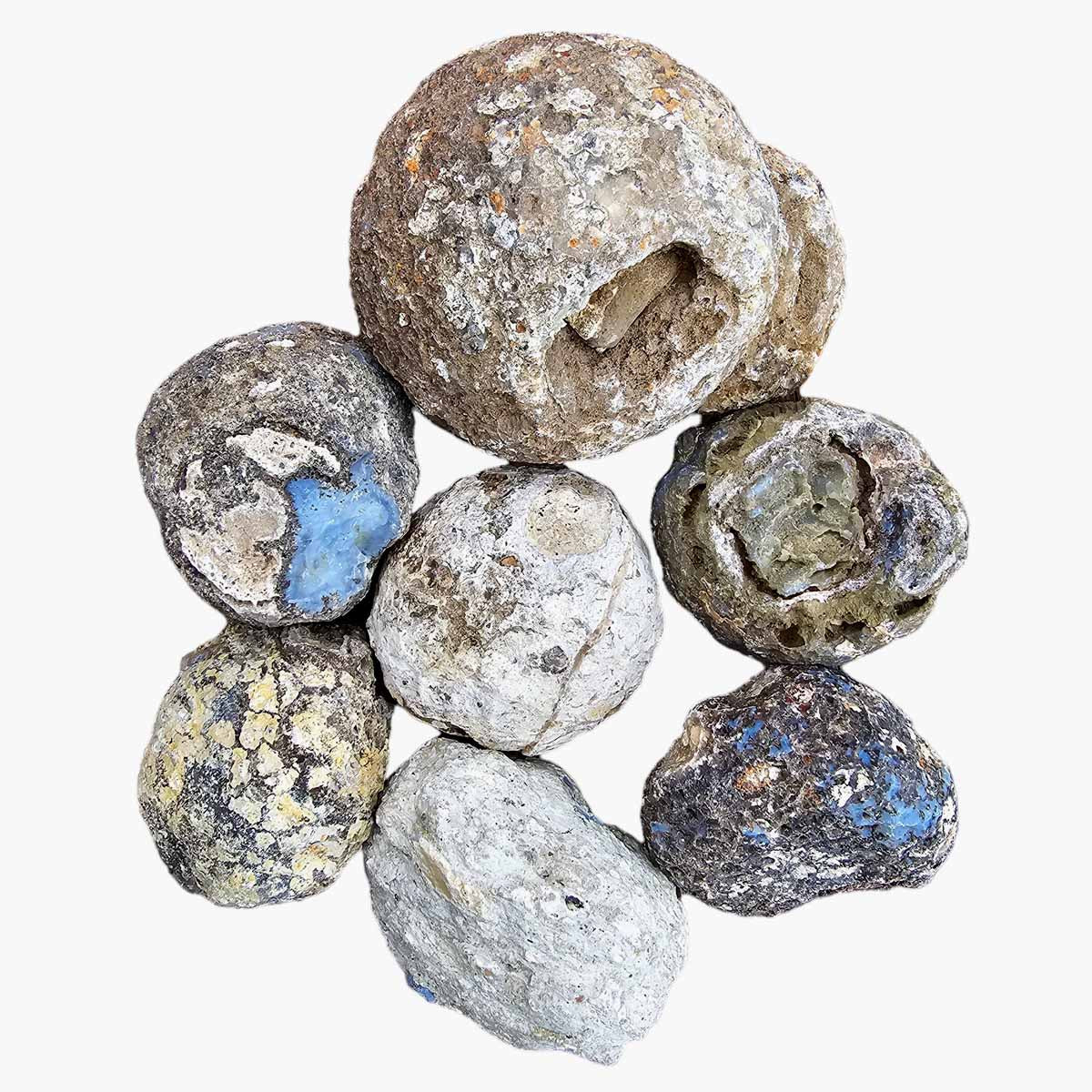 Random Pull Solid Coconut Geode Rough Solid Thunder Eggs - Bild 10 von 12