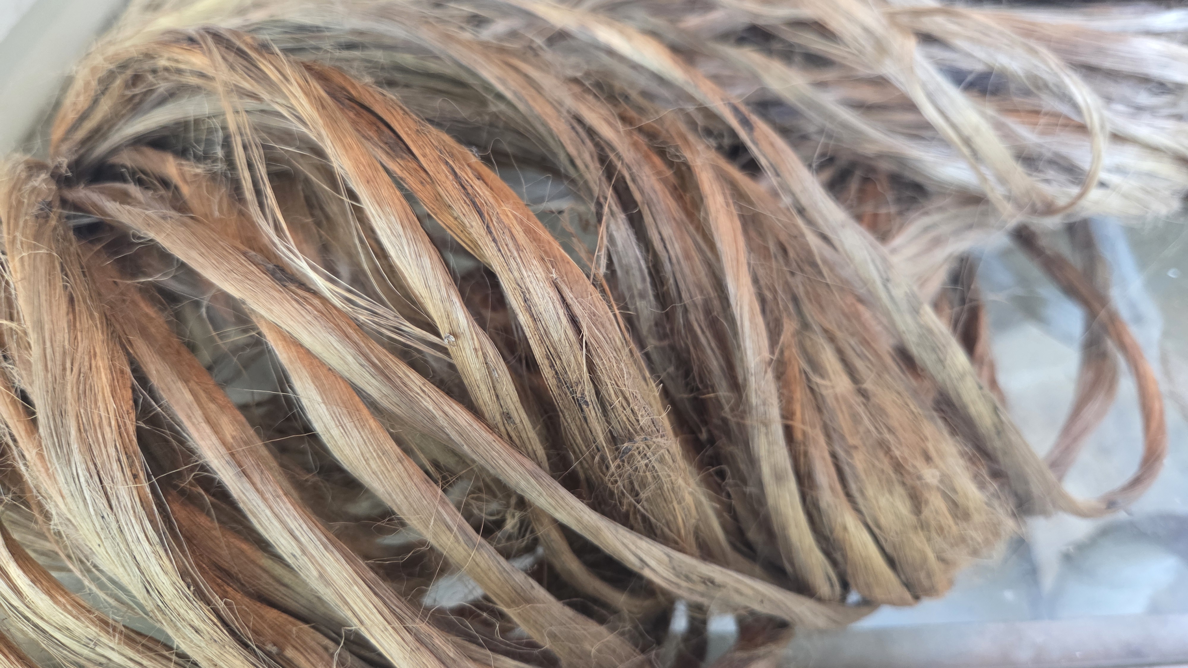Nettle Long Fiber Bundle. Natural Semi-Combed Fiber. Raw.