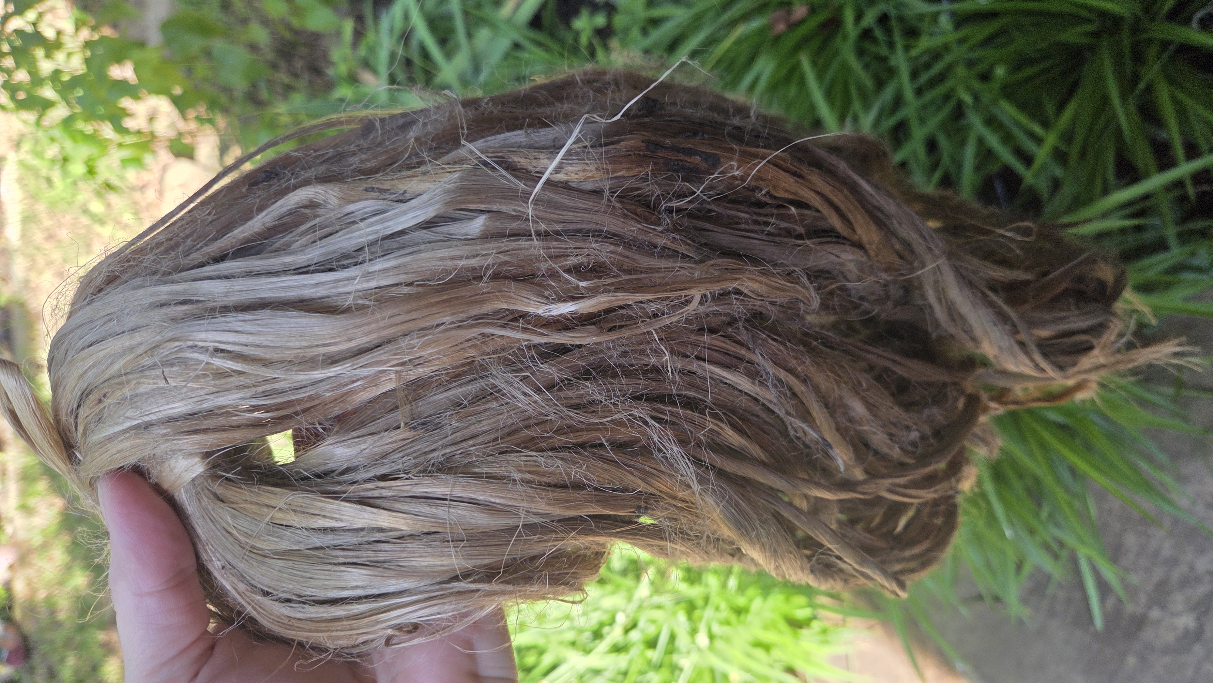 Nettle Long Fiber Bundle. Natural Semi-Combed Fiber. Raw.