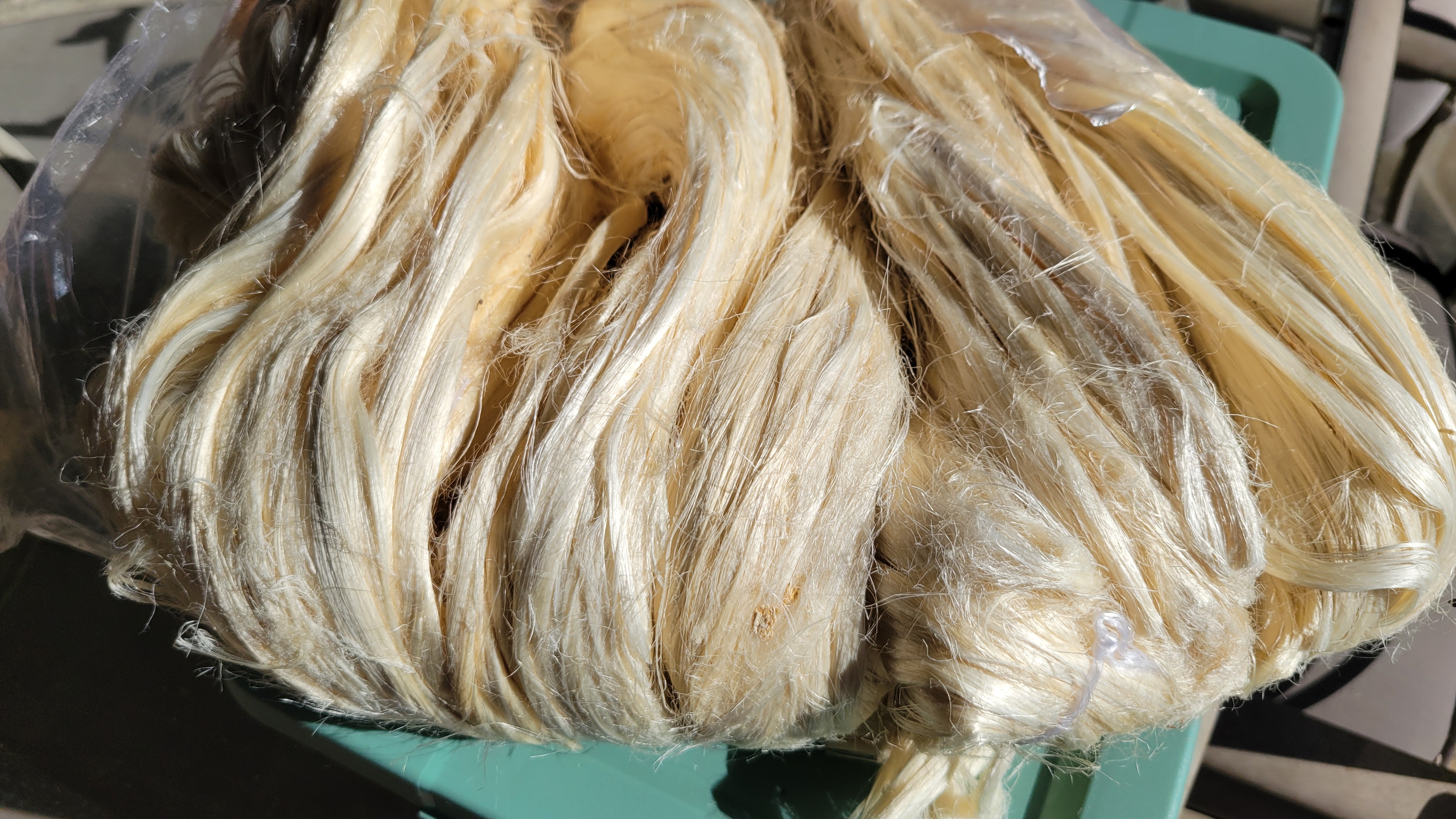 Pineapple Fiber Bundle, Semi-Combed. Sold ounce, Raw Vegetable Fiber.