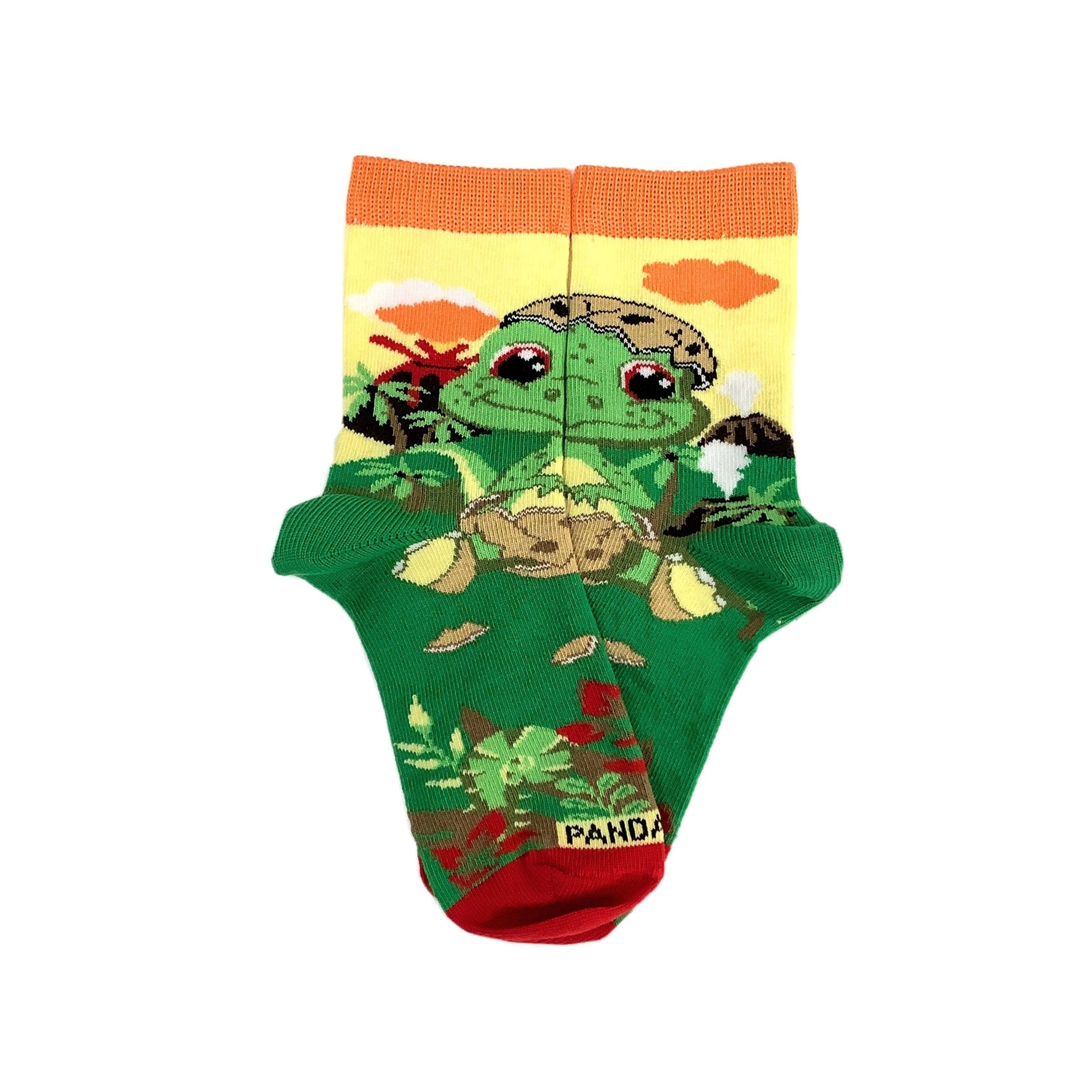 Egg Shell Baby Dinosaur Socks (Ages 3-7) from the Sock Panda - Picture 8 of 8
