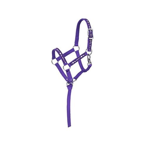 Halter - "I Love My Mini" Nylon w/Catch Lead - Picture 6 of 7