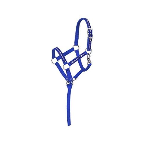 Halter - "I Love My Mini" Nylon w/Catch Lead - Picture 4 of 7
