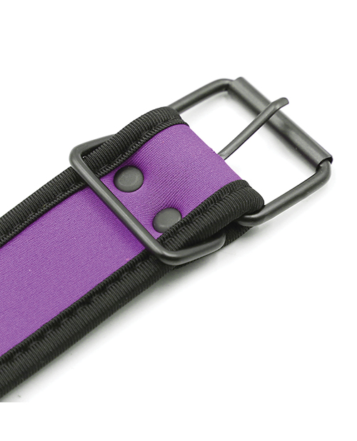 Plesur Neoprene Puppy Collar –