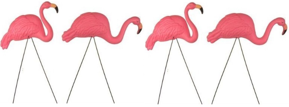 Bright Pink Flamingo Yard Ornament 4 Pack 97138637536 Ebay Clic Style Flamingo Yard And Lawn Bird Ornaments Set Of Two Flamingos Are Made Sy Pink Plastic Feature Great Detail