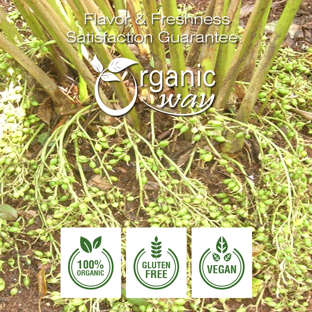Organic Way Cardamom Whole Pods, Hari Elaichi - Organic, Kosher & USDA Certified - Picture 14 of 20
