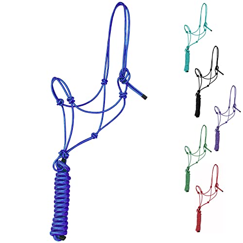 Majestic Ally 1/4" Rope 4 Knot Training Halter with 10’ Lead Rope for Horses - Picture 5 of 7