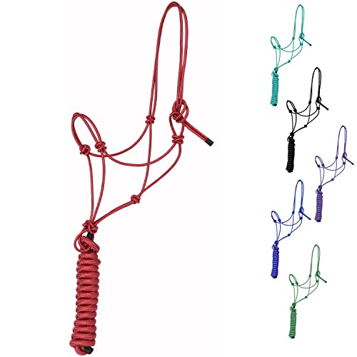 Majestic Ally 1/4" Rope 4 Knot Training Halter with 10’ Lead Rope for Horses - Picture 6 of 7