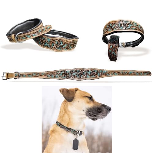 Majestic Ally Leather Dog Collar with Adjustable, padded fit in, Fancy Colors. - Picture 10 of 12