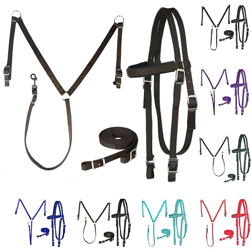 Majestic Ally Equestrian Browband Headstall, Reins & BreastCollar Set for Horse - Picture 7 of 8