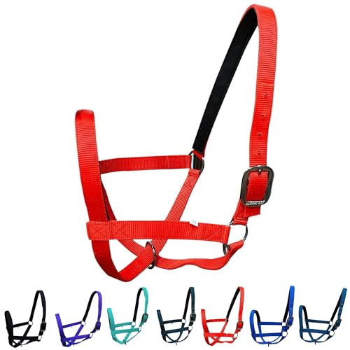 Majestic Ally Adjustable NylonPadded Cattle Halter - 6-Month Warranty - Picture 6 of 8