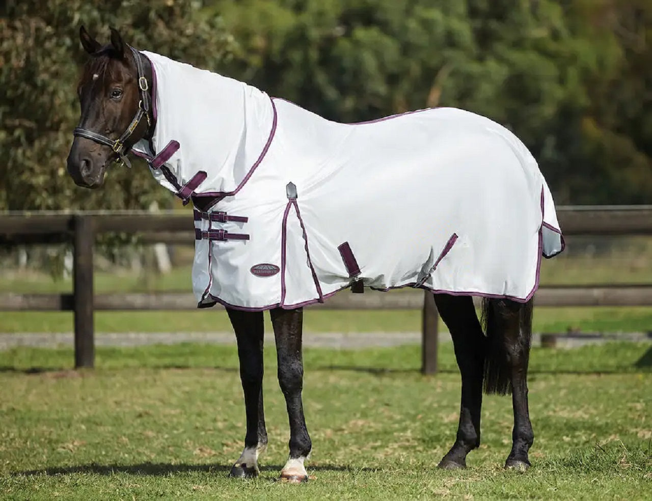 Weatherbeeta ComFiTec Essential Mesh II Combo Neck