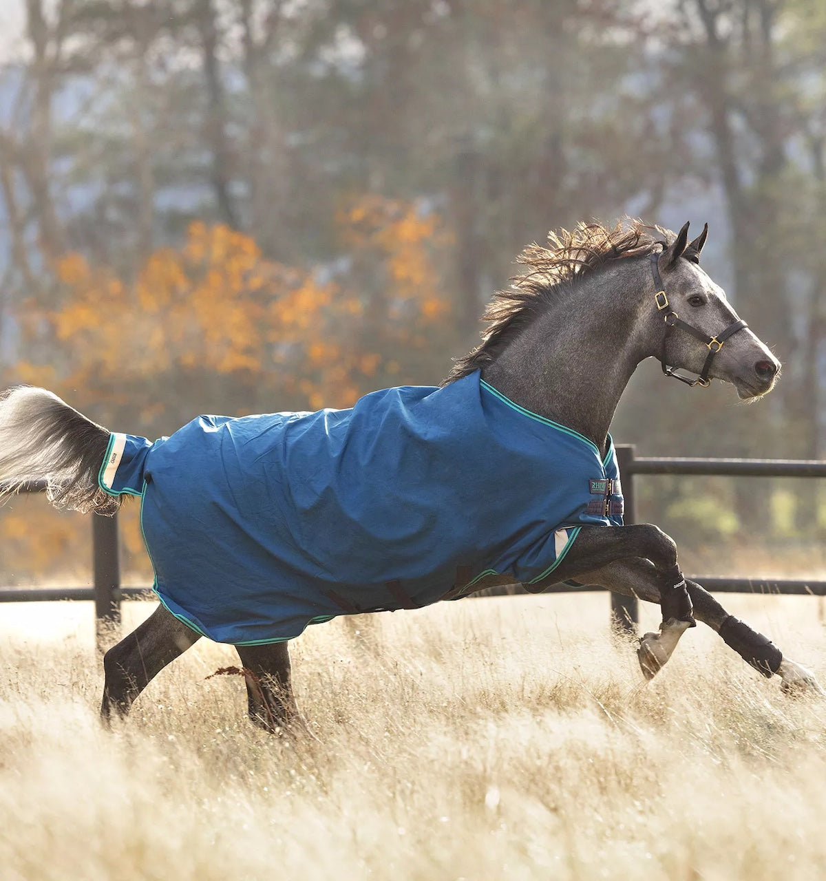 Rhino® Original Turnout (0g Lite)