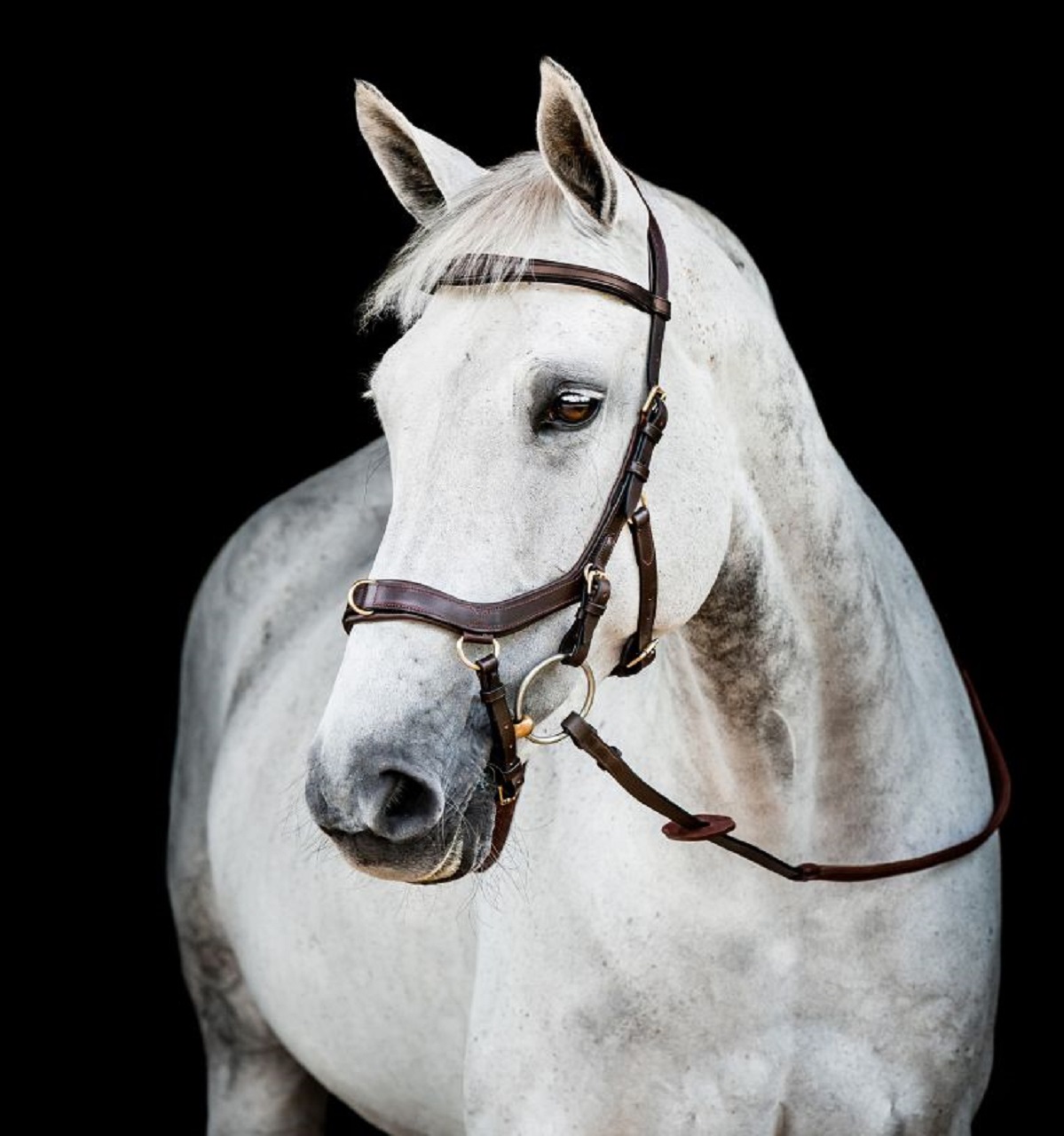 Briglia multipla Horseware® Micklem® - Foto 4 di 5