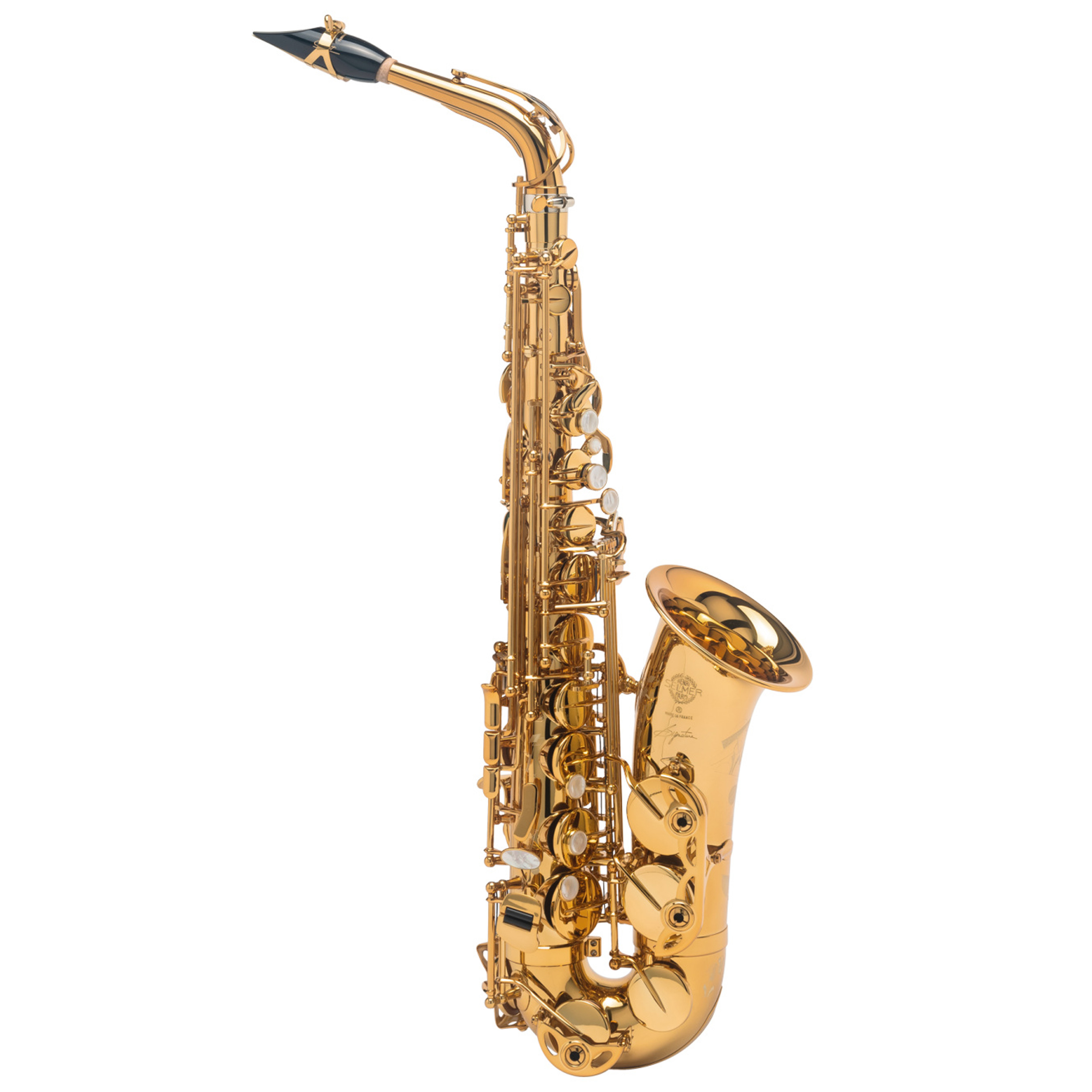 Selmer Paris ゴールドサックス ケース付き Selmer Paris ゴールドサックス ケース付き Selmer Paris ゴールド