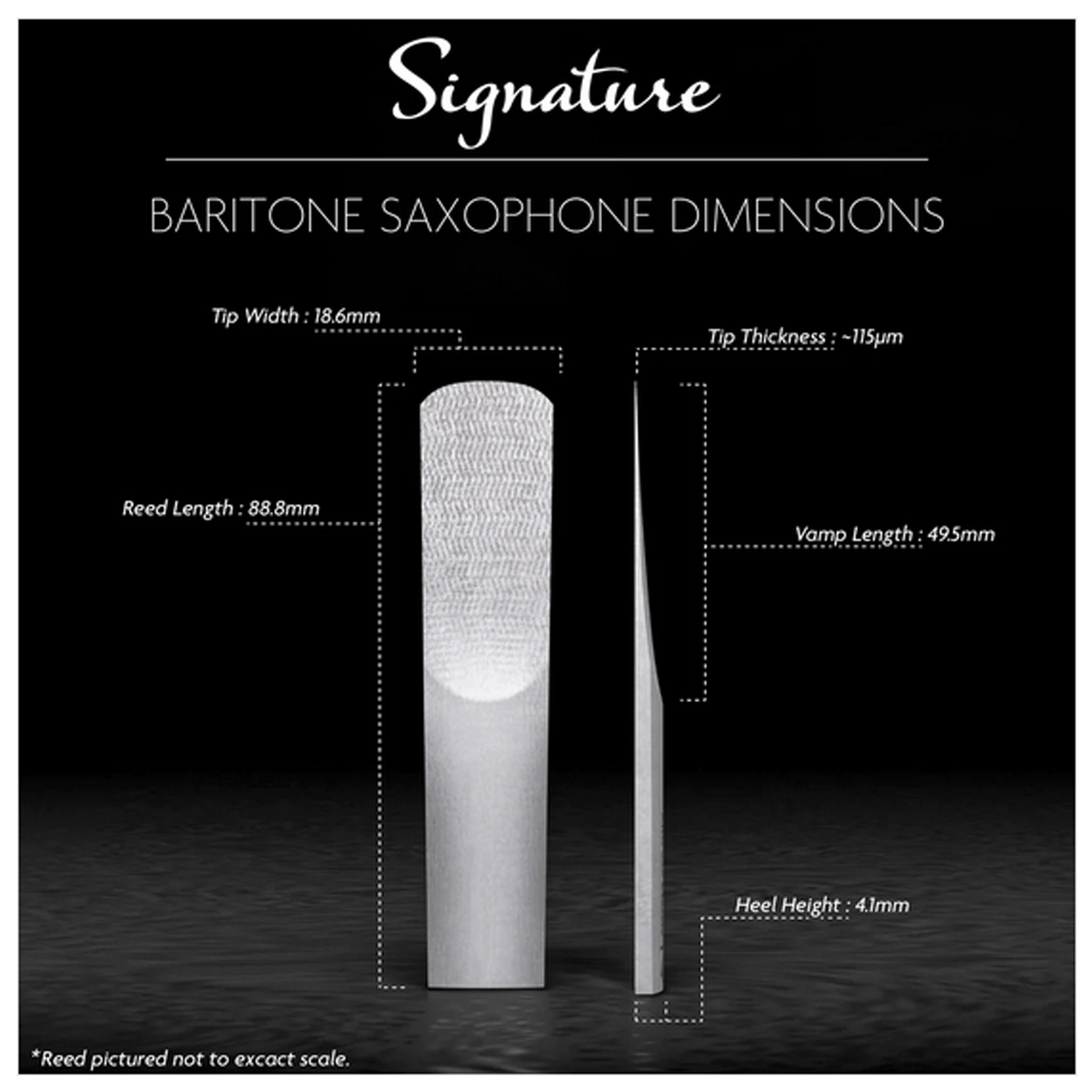 Ancia Légère Signature Per Sassofono Baritono, Forza 2.75, In Materiale Sintetico Ad Alte Prestazioni, Non Richiede Bagnatura, 30 Giorni Di Garanzia