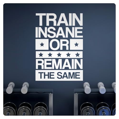Train Insane Motivational Inspirational Wall Decal Sticker Quote Home Gym Decor
