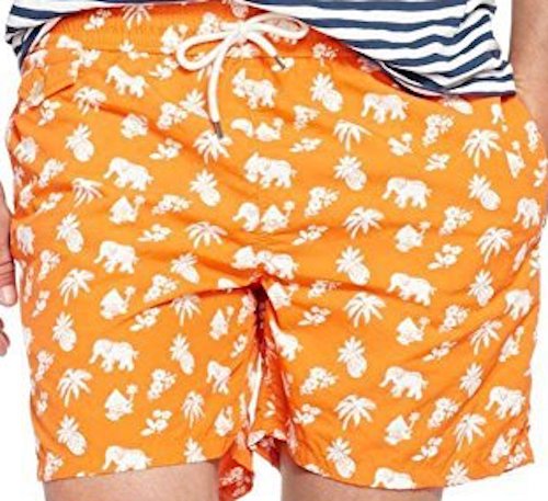 NWT Polo Ralph Lauren Men's 5.75 -in. Traveler Swim Trunks - Picture 6 of 8