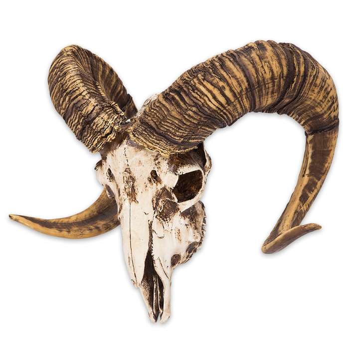 Bighorn Sheep Ram Skull Replica Wall Mounted Decor Trophy Sculpture