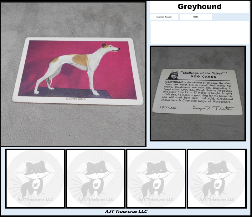 1950 Quaker Oats Challenge of the Yukon DOG Cards-Pick! - Picture 21 of 35
