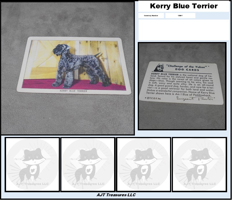 1950 Quaker Oats Challenge of the Yukon DOG Cards-Pick! - Picture 24 of 35