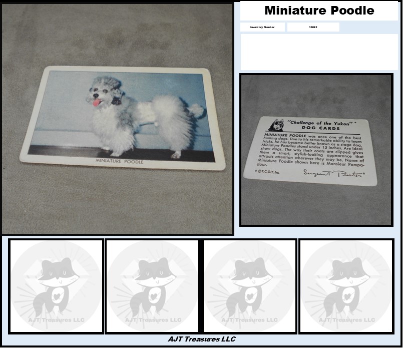 1950 Quaker Oats Challenge of the Yukon DOG Cards-Pick! - Picture 25 of 35