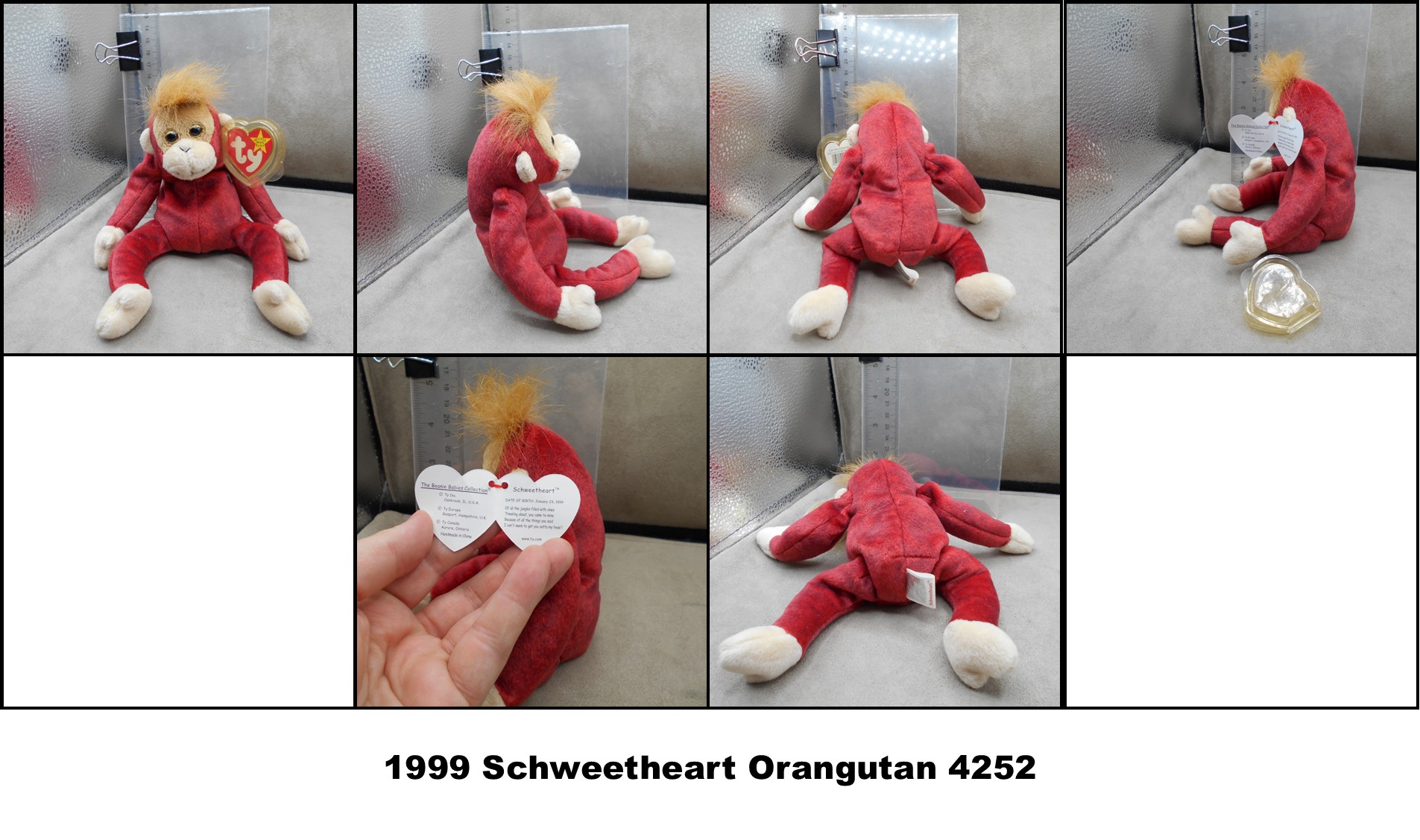 Ty Beanie Babies & Family Plush Toys-Choose! | eBay