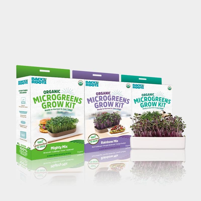 BACK TO THE ROOTS ORGANIC MICROGREENS GROW KIT 3 PACK