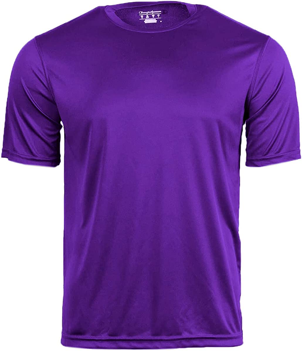 Camiseta para hombre Hanes Champion de manga corta doble secado CW22 - Imagen 16 de 35