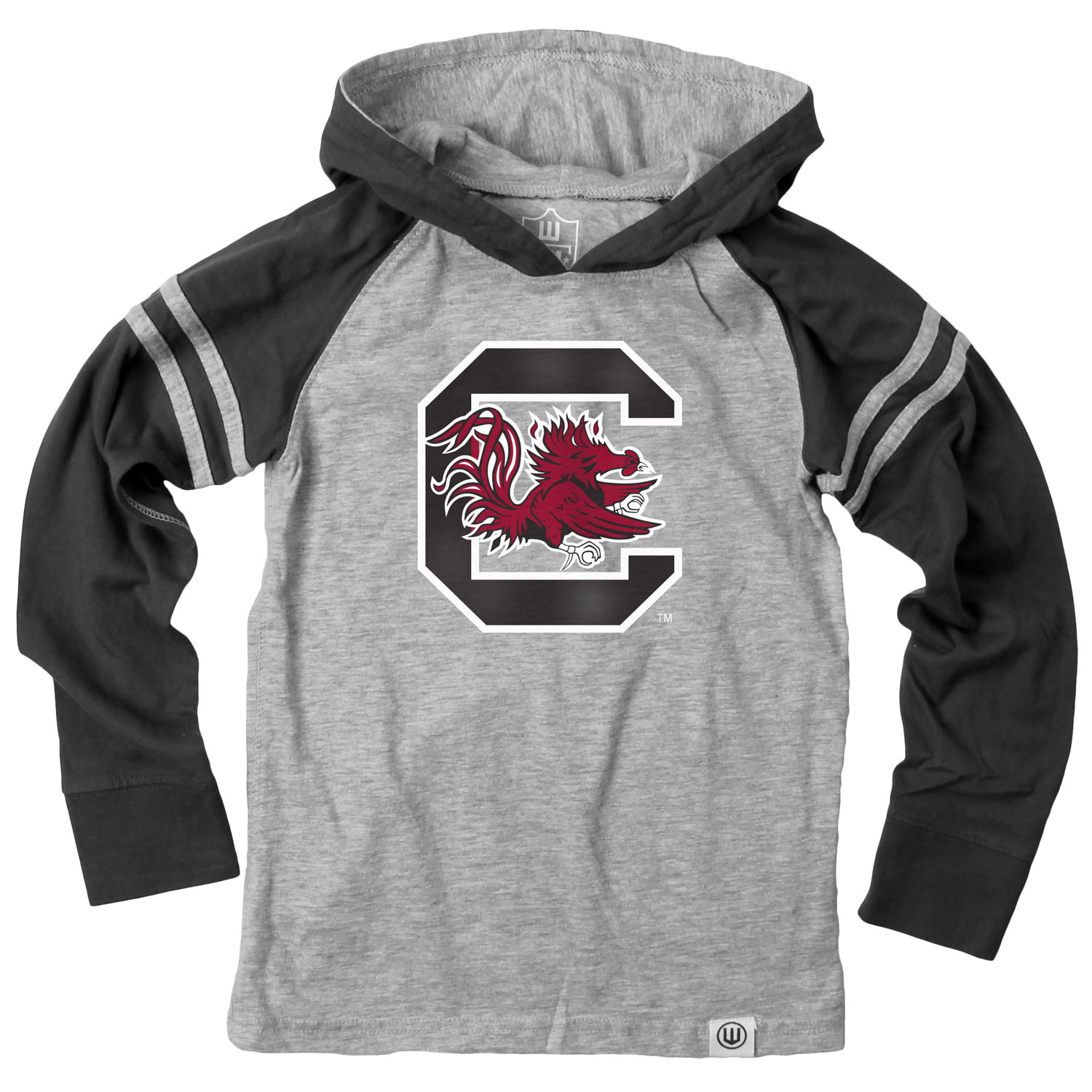 Wes and Willy Youth Boys College Team Long Sleeve Striped Hooded T-Shirt - Picture 42 of 46