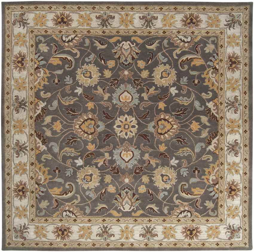 Paris Traditional Khaki Area Rug - Picture 18 of 34