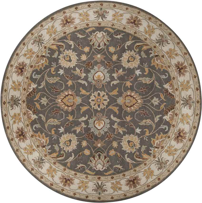 Paris Traditional Khaki Area Rug - Picture 30 of 34