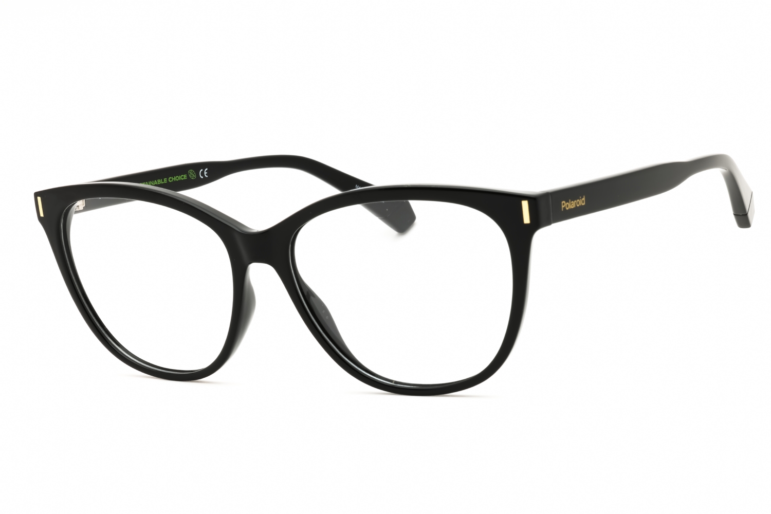 Polaroid Core PLD D463 Eyeglasses eyewear