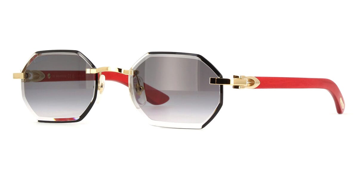 Cartier CT0439S Sunglasses eyewear