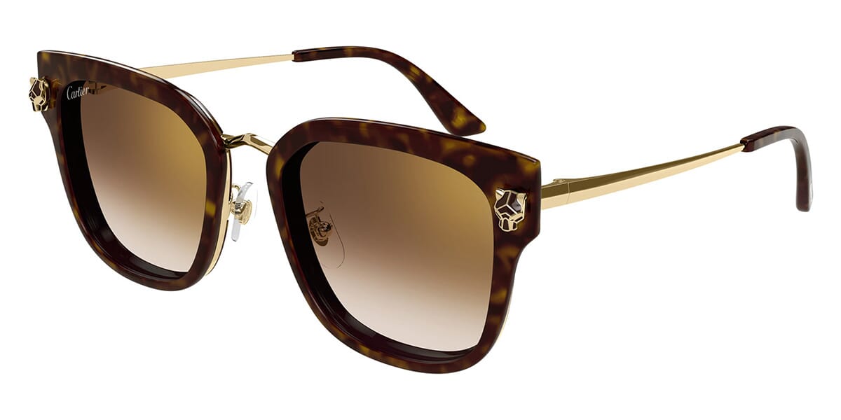 Cartier CT0509SA-002 Sunglasses eyewear