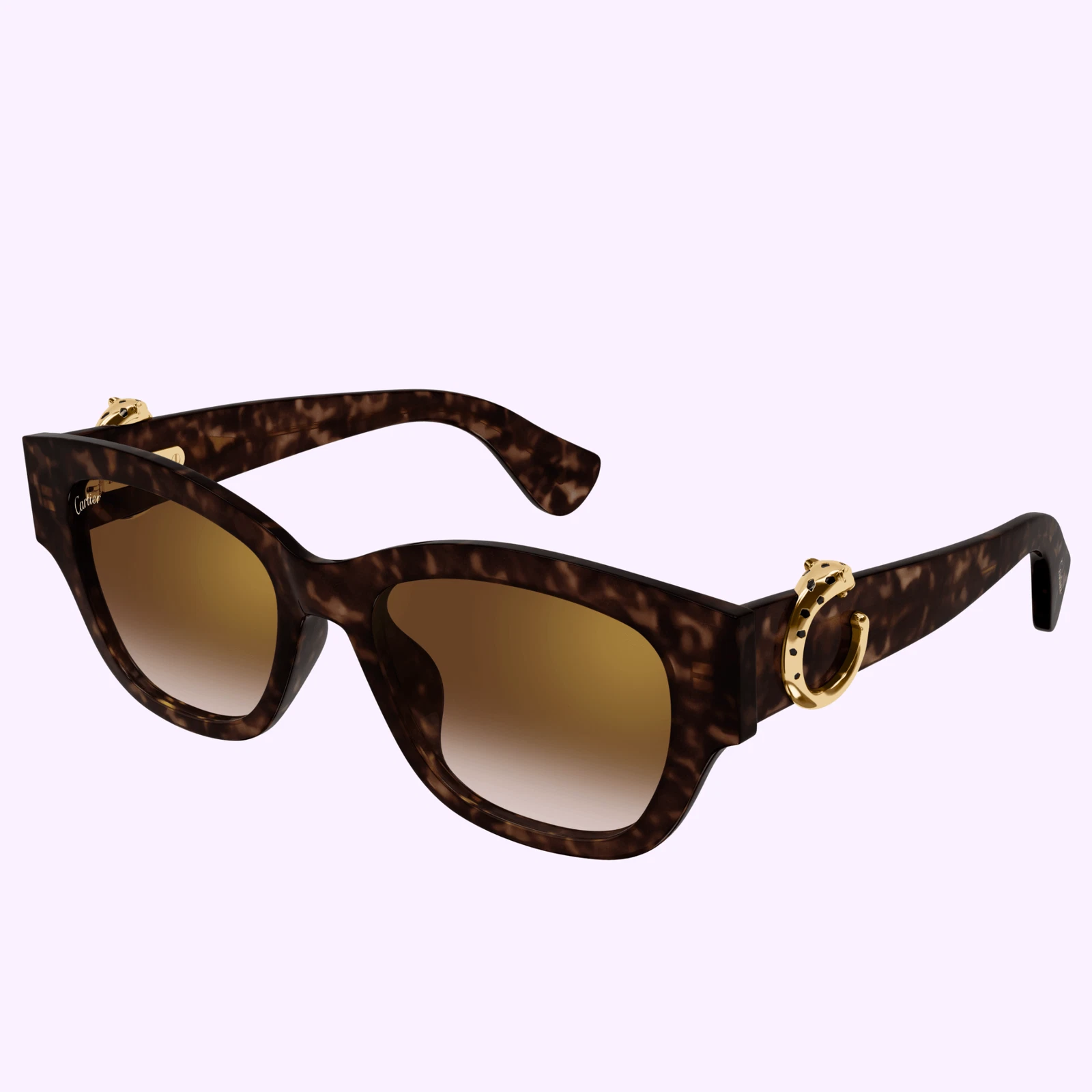 Cartier CT0548SA-002 Sunglasses eyewear