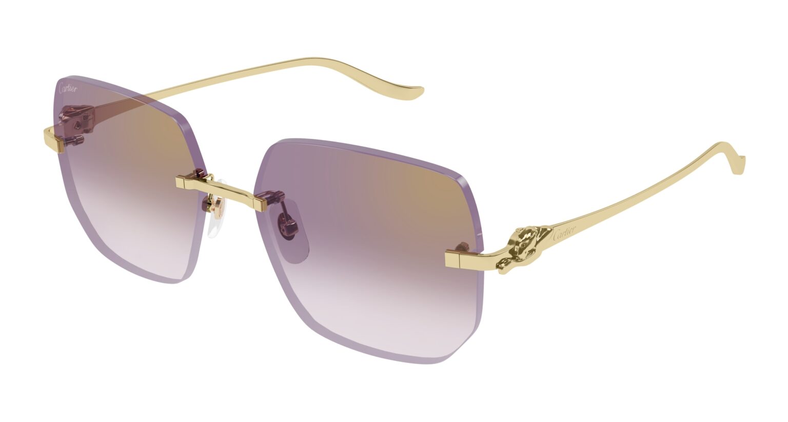 Cartier CT0549S-004 Sunglasses eyewear